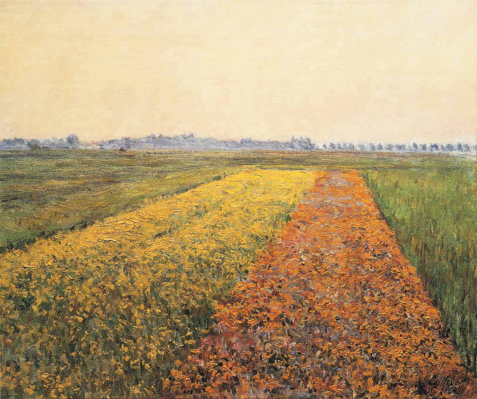 The Yellow Fields at Gennevilliers